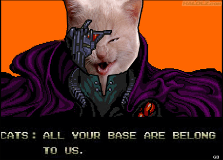 all your base are belong to us