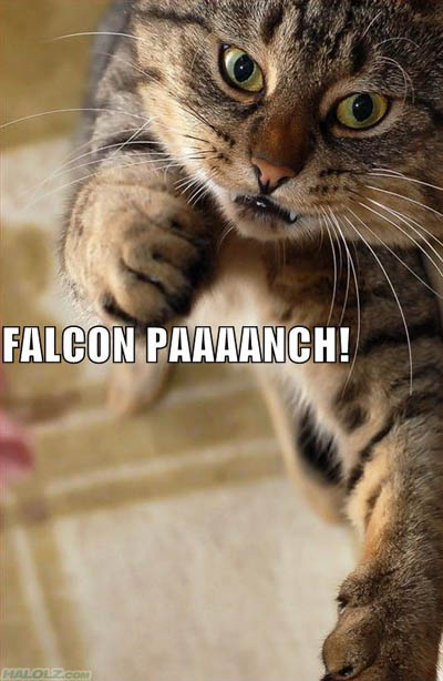 FALCON PAAAANCH!