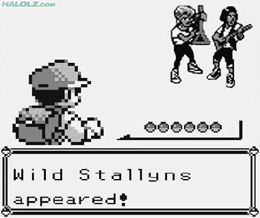 Wild Stallyns appeared!