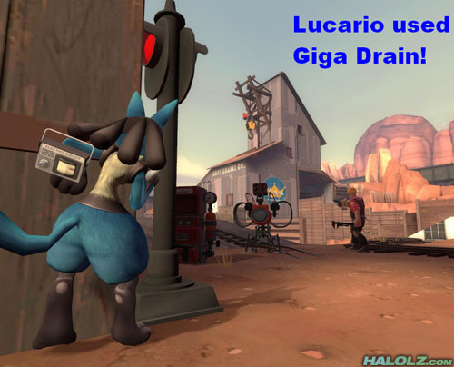 Lucario used Giga Drain!